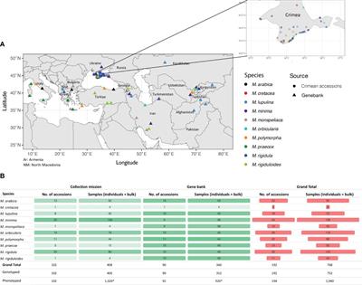 Genetic diversity, population structure, and taxonomic confirmation in annual medic (Medicago spp.) collections from Crimea, Ukraine